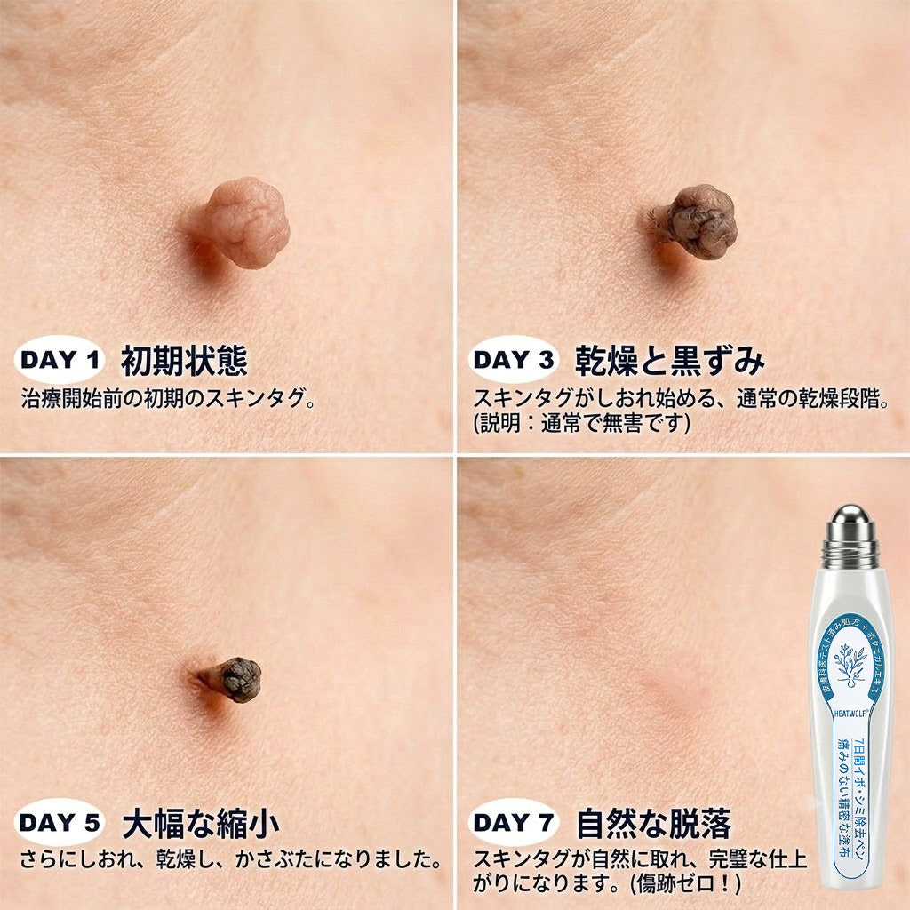 𝐇𝐄𝐀𝐓𝐖𝐎𝐋𝐅® プレミアム・ローラーボールペン🎉