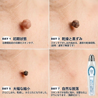 𝐇𝐄𝐀𝐓𝐖𝐎𝐋𝐅® プレミアム・ローラーボールペン🎉